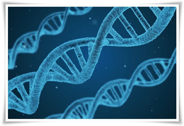 &quot;보건증 발급&quot; 식품 취급 업종(카페, 제과점, 음식점 등) 종사(알바 포함)하는 모든 사람 발급 필수!