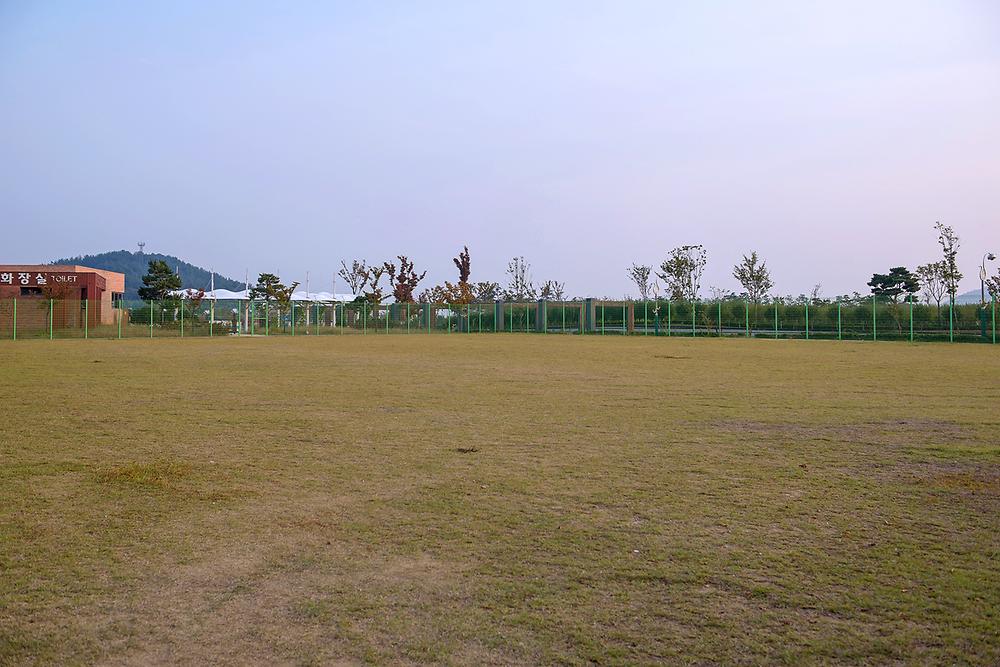 전라남도 무안군 회산백련지 오토캠핑장 소개