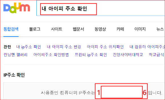 자신의 공인 IP가 표시