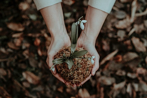 5. 혈당수치 조절