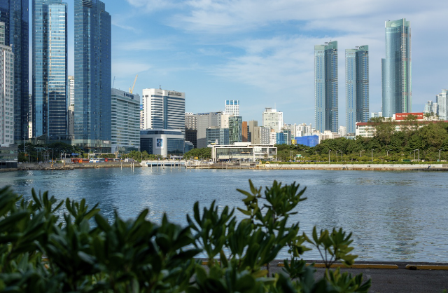 부산 일주일 여행: 유명한 명소와 숨은 관광지 탐방