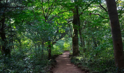 제주도 여행코스 2박3일