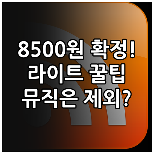 유튜브 뮤직 제외한 라이트 요금제 국..