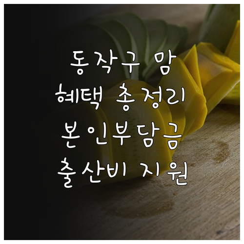 2025 동작구 산모 혜택: 본인부담..