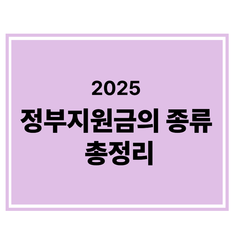 2025년 정부지원금의 종류 총정리에 대한 표어