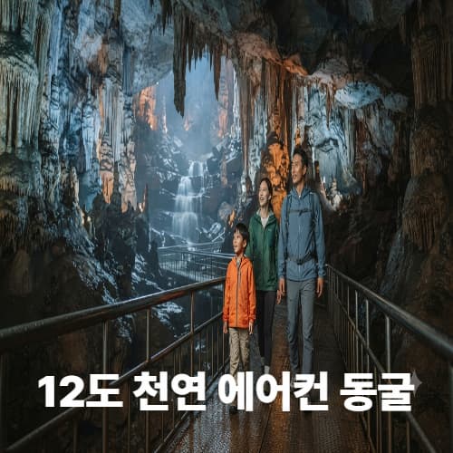 강원도 동굴투어: 한여름 12도 천연 에어컨 피서지 추천