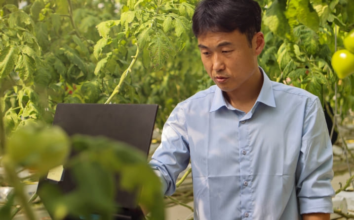 기계연, “원예작물 다수확 로봇 시스템” 개발 성공