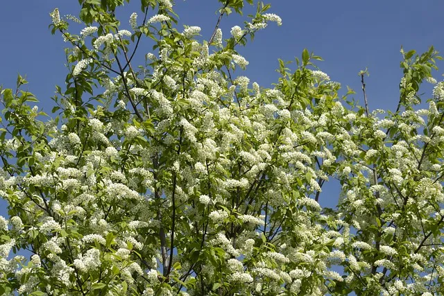 구천 치욕 복수 오월동주 와신상담 뜻 유래 의미_6