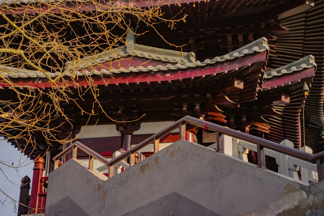 Gongjindan