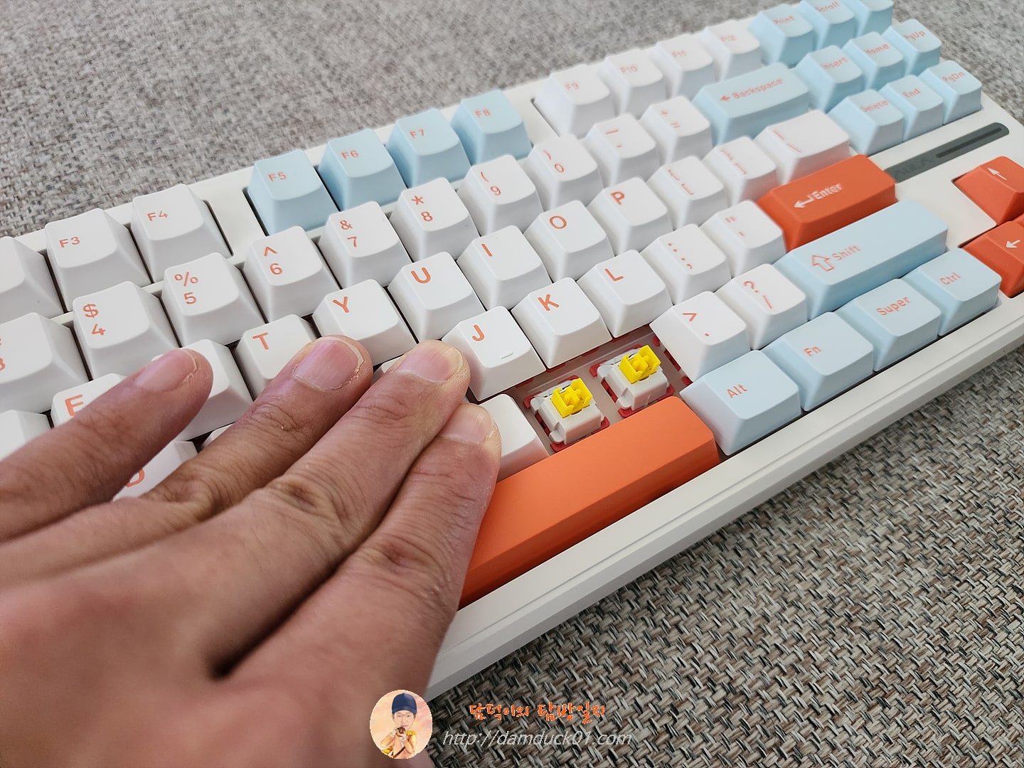 AULA F87 Pro 독거미 키보드