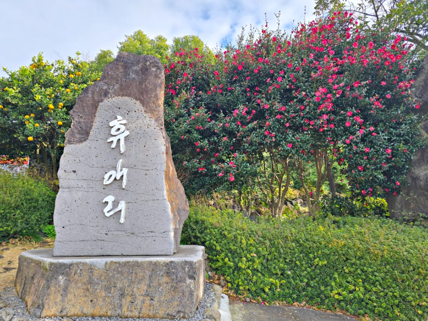 휴애리 자연생활공원 동백