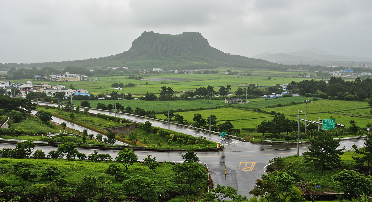제주 6월19일 시작 2025년 장마 지역별 날짜 총정리