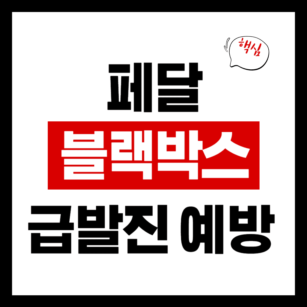 페달 블랙박스 급발진 사고 예방 안내