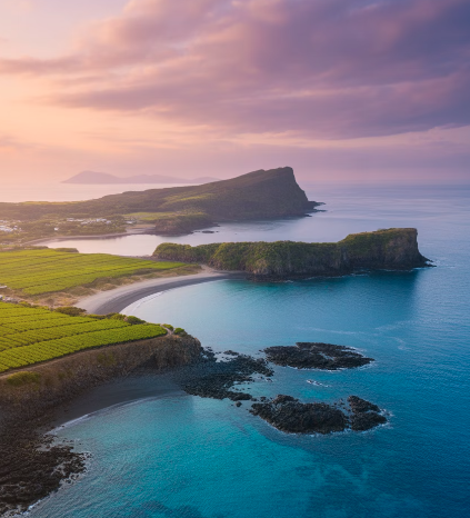 청주제주항공권 최저가 예매 가이드 - 항공사별 할인 이벤트 및 가격 비교 꿀팁