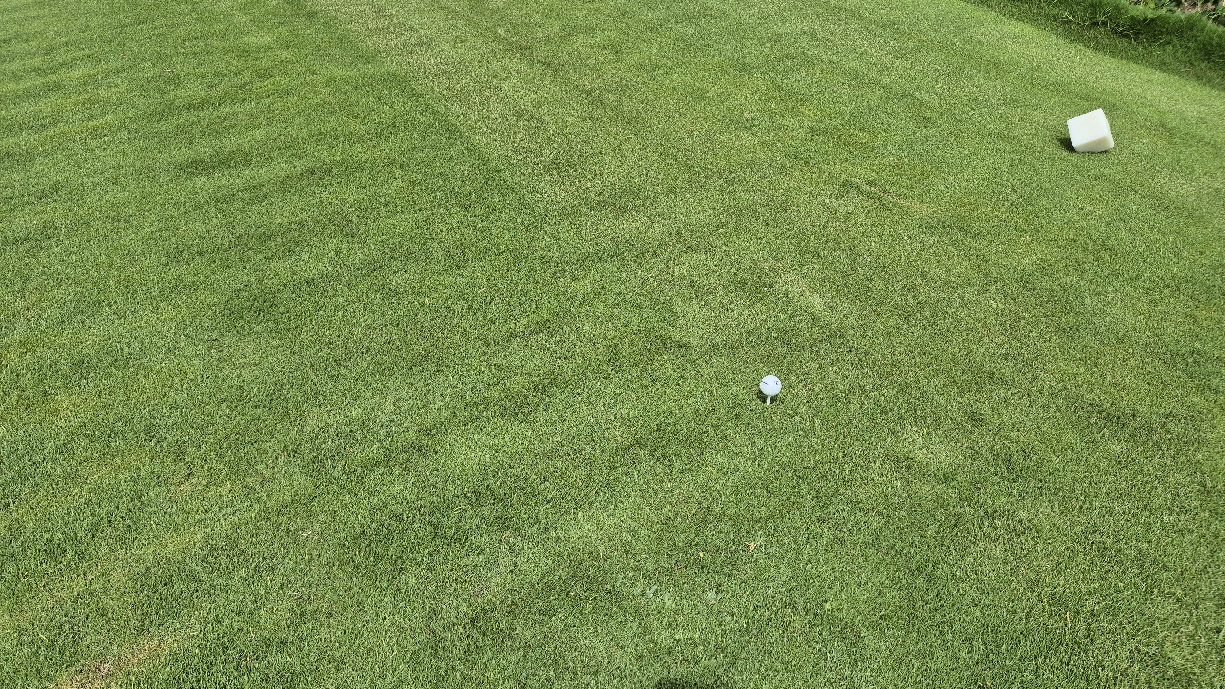 코랄오션cc 골프 라운드