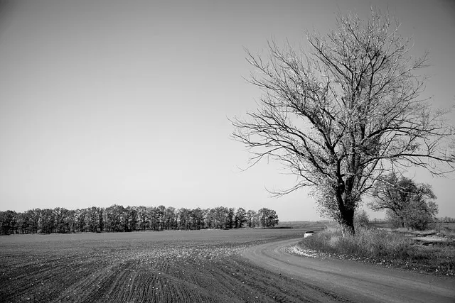 그대 그리움 정성심 작시 박경규 작곡 소프라노 황혜숙 완벽 성악 감상_9