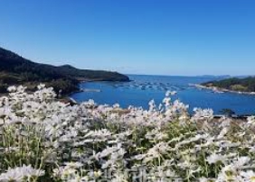 청산도 배시간표