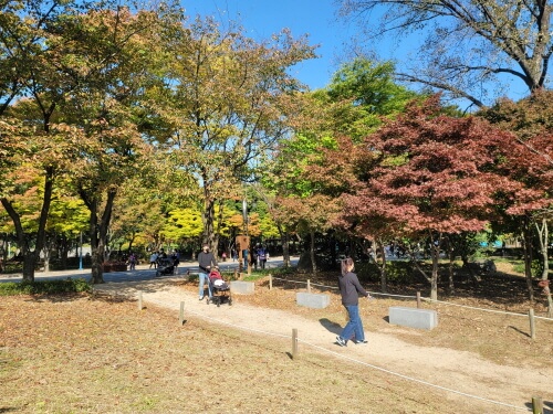 인천대공원-단풍