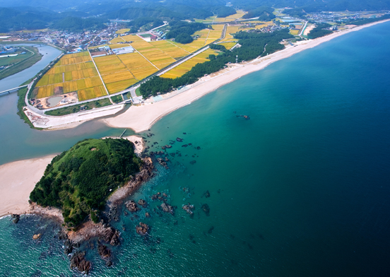 삼척 맹방 유채꽃 축제 드론 촬영