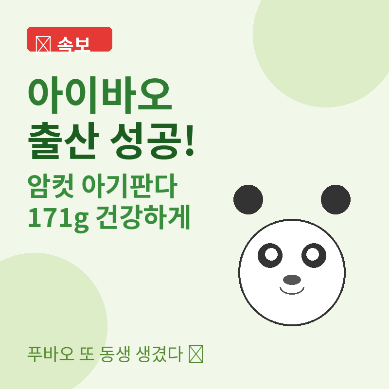 2026 아이바오 출산 관련 포스터 이미지