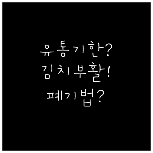 냉장고 속 유통기한 지난 김치 살리는..