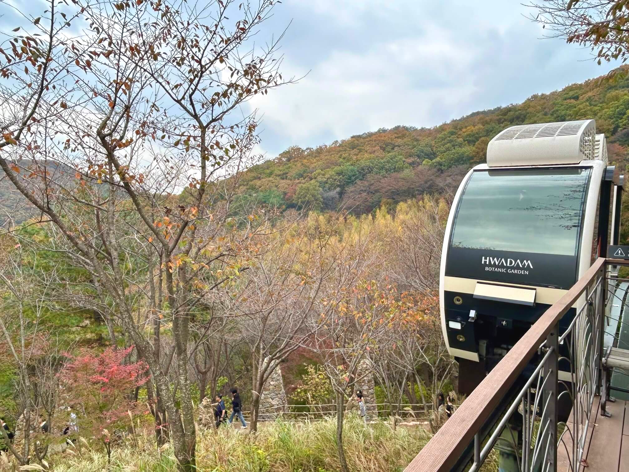 2024년 화담숲 10월 말 가을 단풍 모노레일