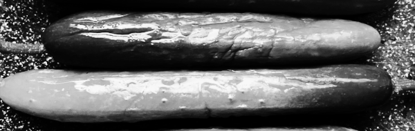 물없이 오이지 50개 담그는법 마무리