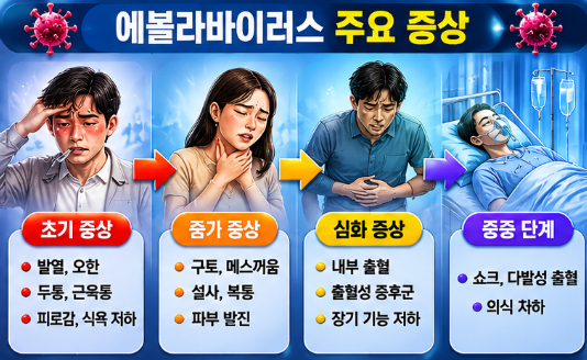 에볼라바이러스 증상 치사율 감염경로 총정리3