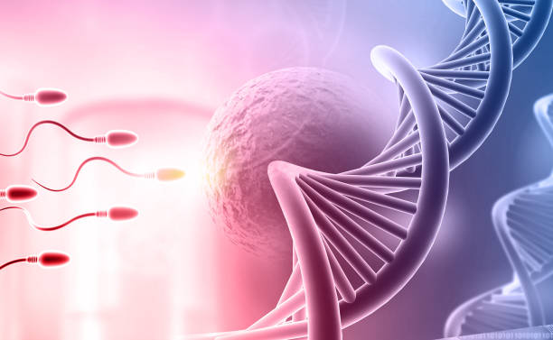 난임에 좋은 음식 10가지 임신 확률을 높이는 식습관 가이드