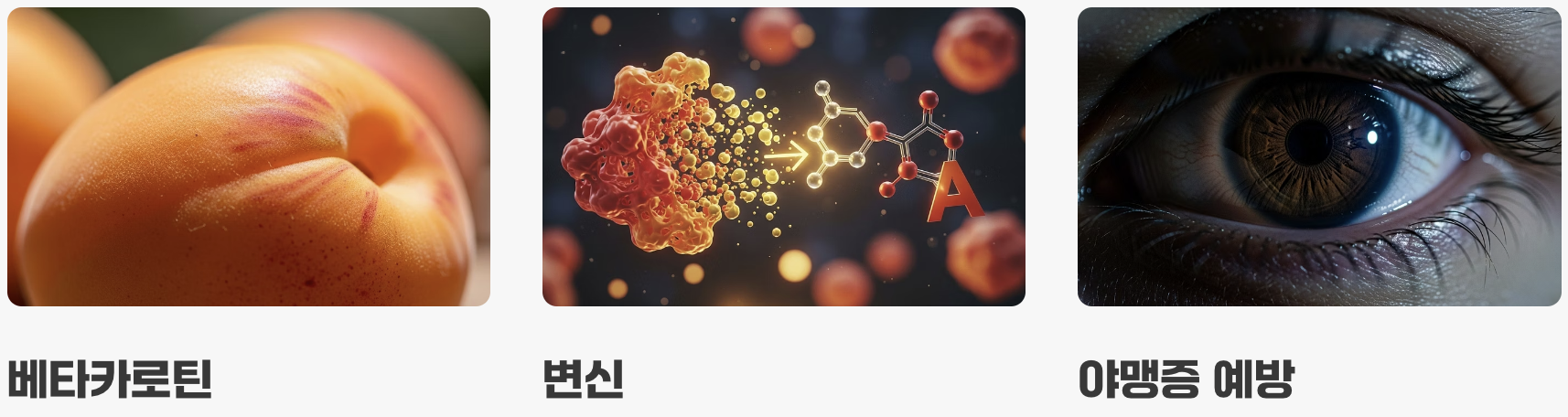 주황빛 속에 숨겨진 '비타민 A'의 마법