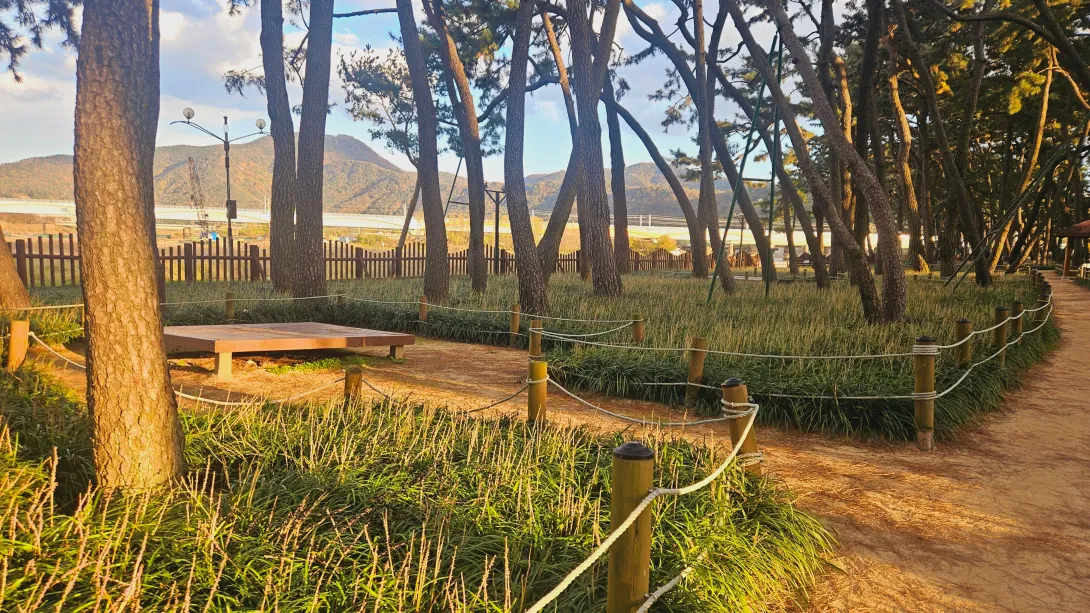 밀양 맥문동 맨발걷기