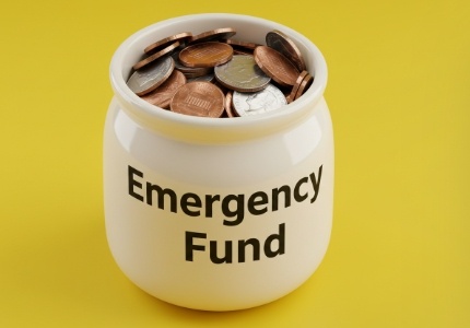 뱀이 집안으로 들어오는 꿈 해몽