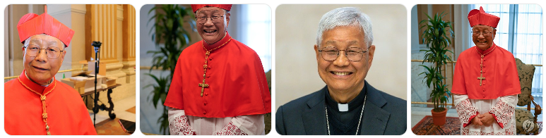 유흥식라자로추기경 유흥식라자로교황후보 유흥식교황후보 유추기경교황후보 유추기경후보 유흥식라자로후보