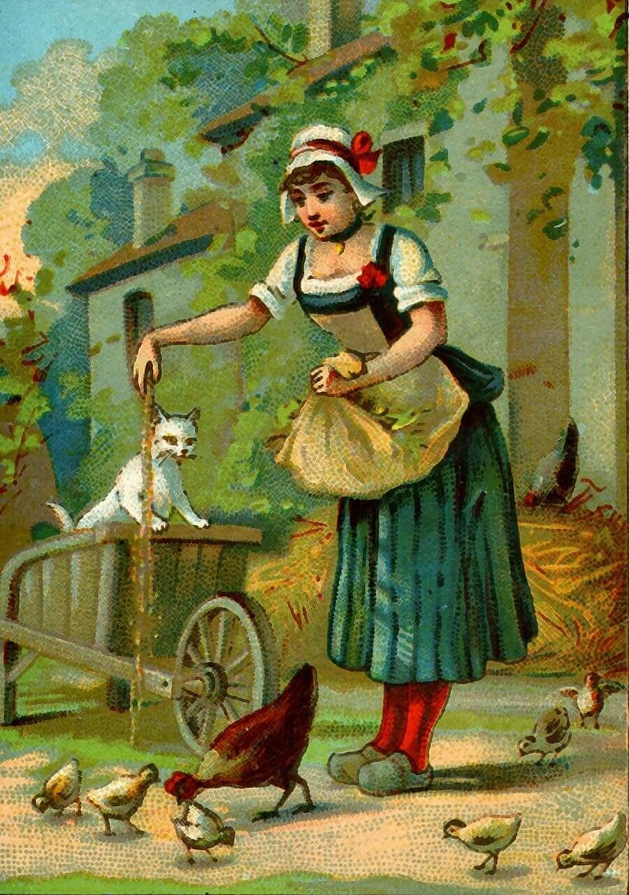 홍천군 2025년 기본형 공익직불금