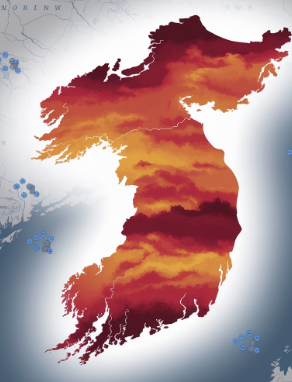 전국 미세먼지 예보