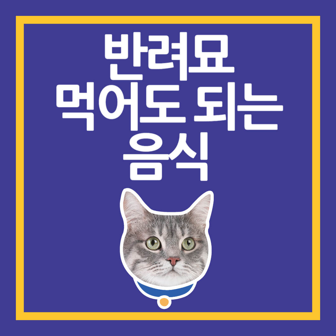 고양이가 먹어도 되는 음식