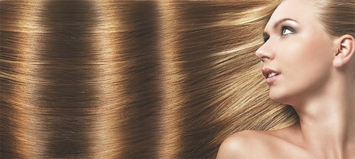 머리 드라이 하는법, 머리 드라이기 방법 7가지