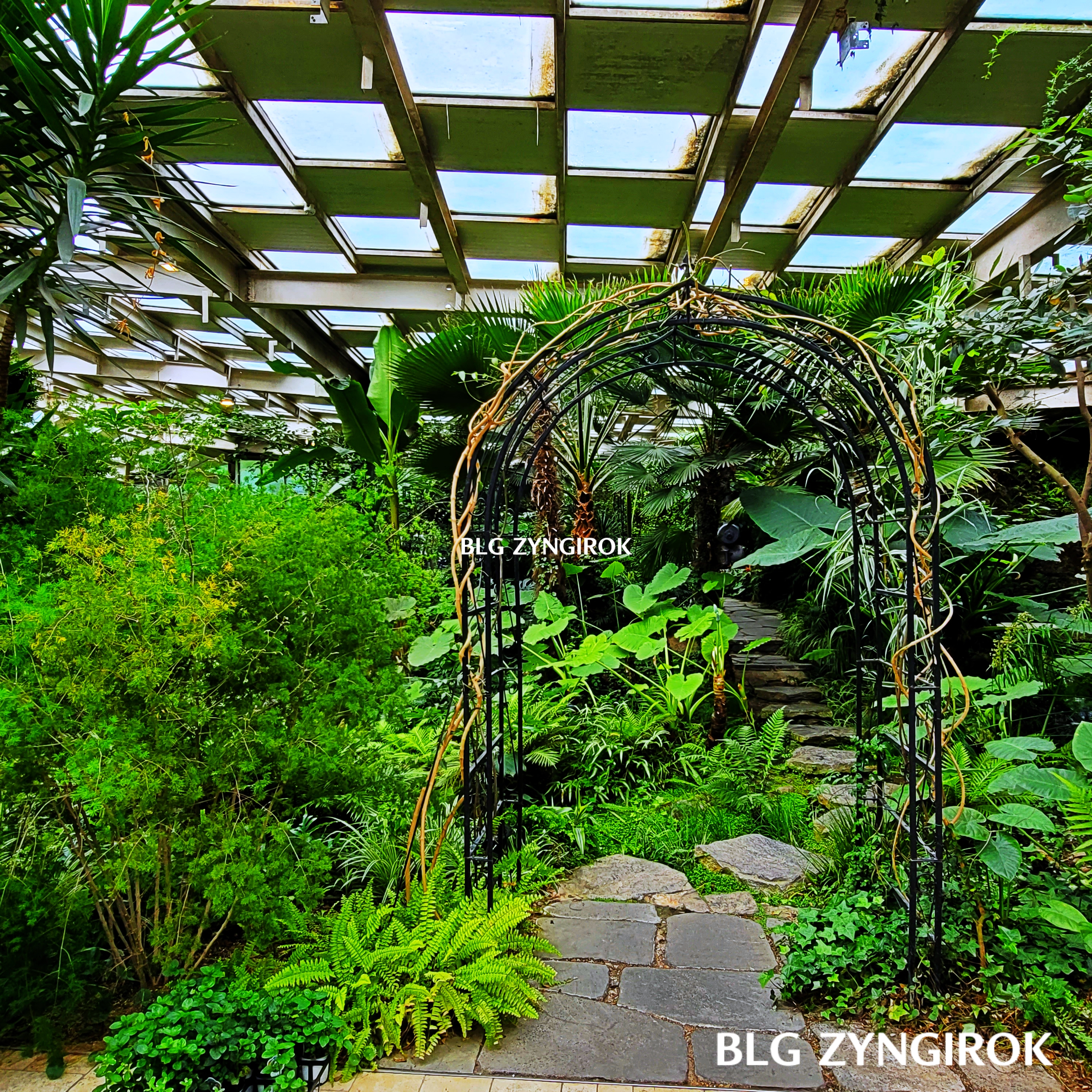 양주-오랑주리-카페-내부-숲이다.