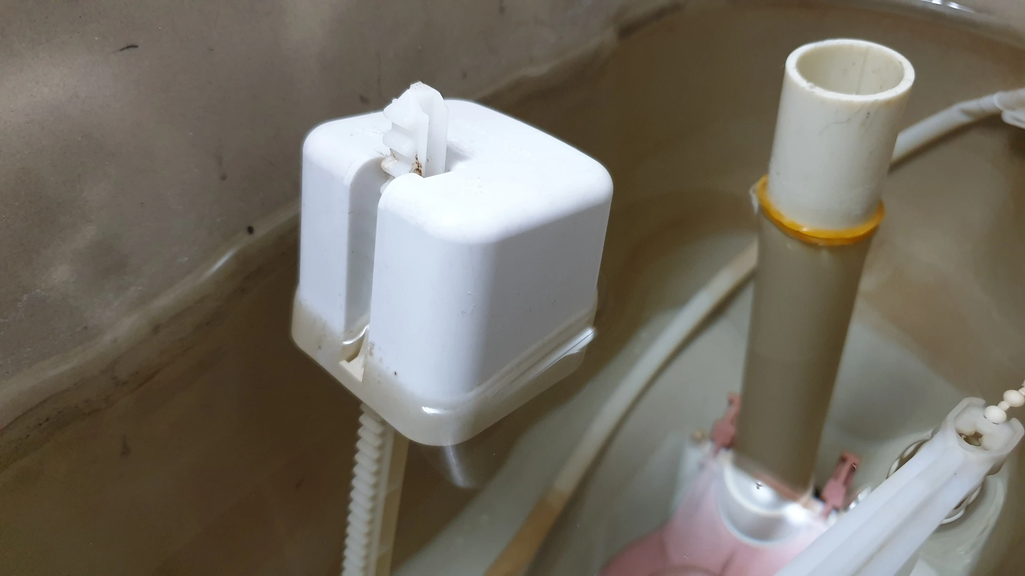 물이 많이 담긴 모습