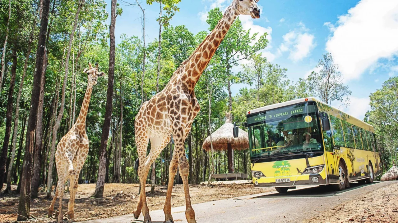 7월 8월 해외여행지 추천 여름휴가 가족여행 일본 동남아 여행지 추천