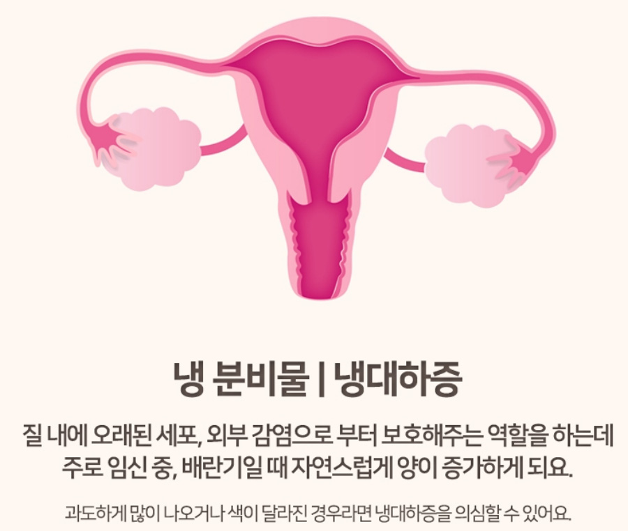 자궁의 모양을 그린 그림 밑에 냉분비물, 냉대하증에 대한 설명을 넣은 그림 사진
