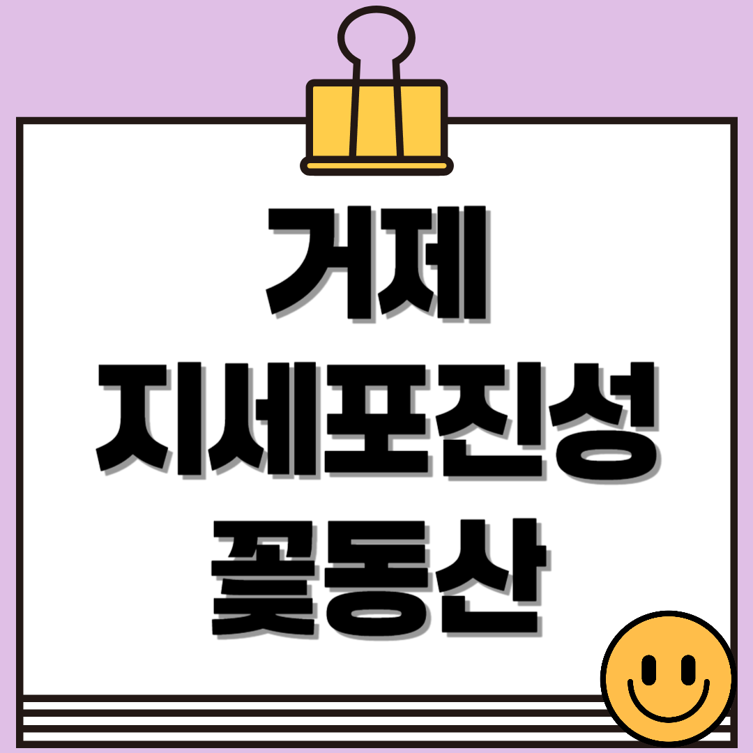 거제 지세포진성꽃동산 금계국 명소! 황금물결의 절정