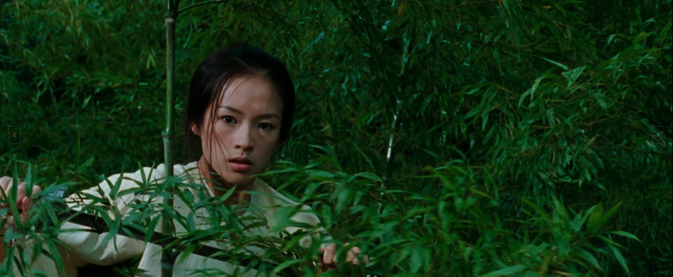 영화 '와호장룡' 속 대나무 숲에서 긴장감 있게 숨어 있는 여주인공의 모습