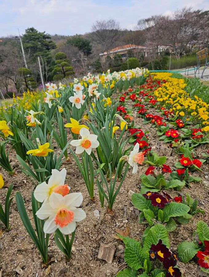 바이블랜드수목원