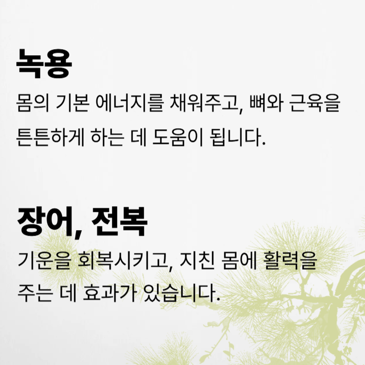 녹용, 장어, 전복 효능 소개글