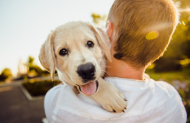 자녀장려금 신청자격
