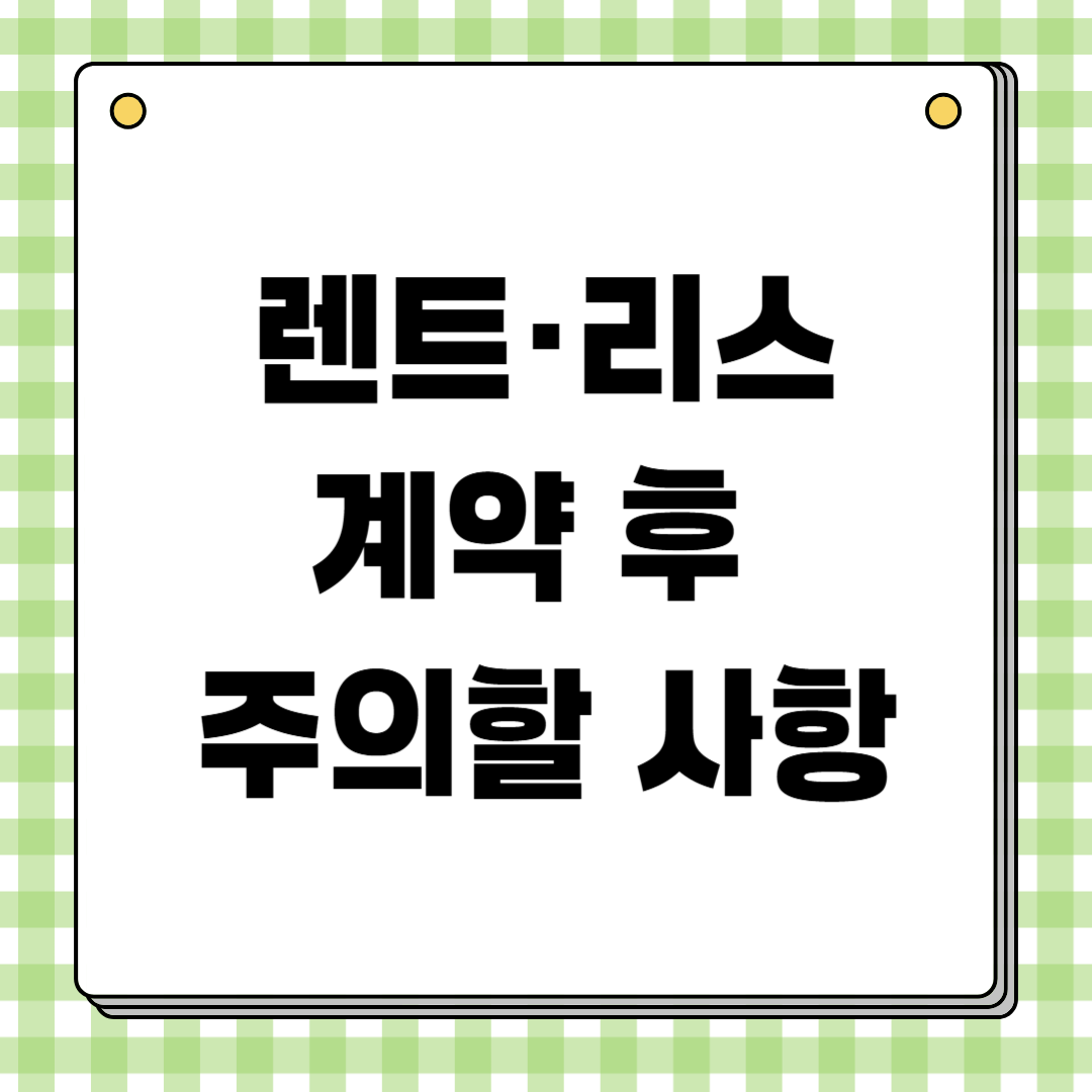 렌터카