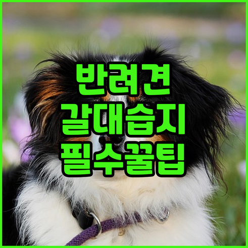 반려견과 가기 좋은 안산갈대습지공원 ..