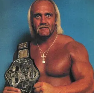 헐크 호건 사망