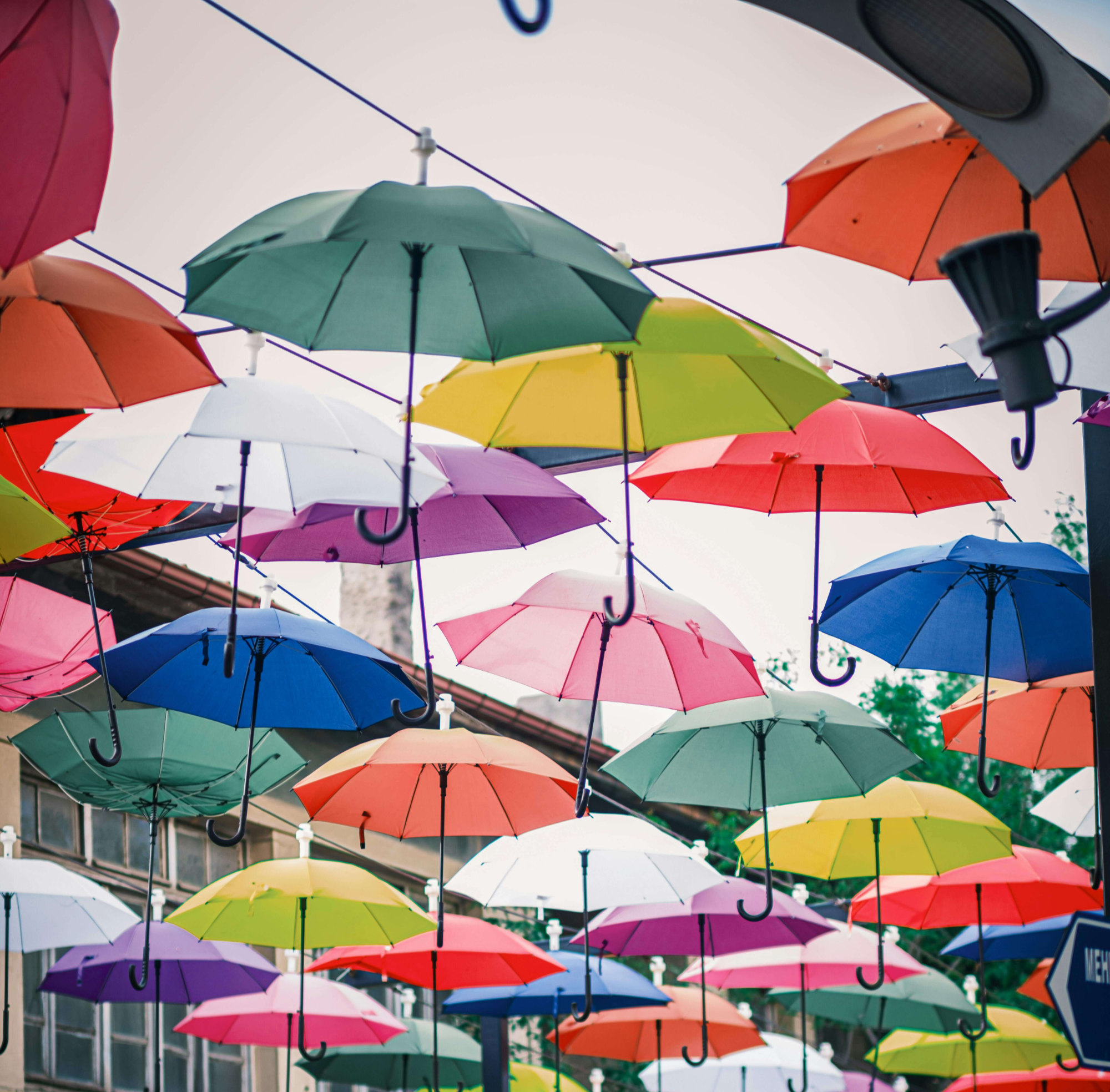 정동진 하슬라 아트월드